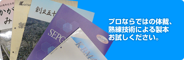 �v���Ȃ�ł͂̑̍فA�n���Z�p��鐻�{���������������B