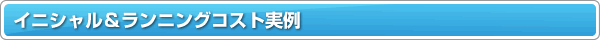 �C�j�V�����������j���O�R�X�g����